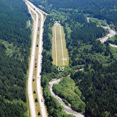 Grass runway in the middle of a forest